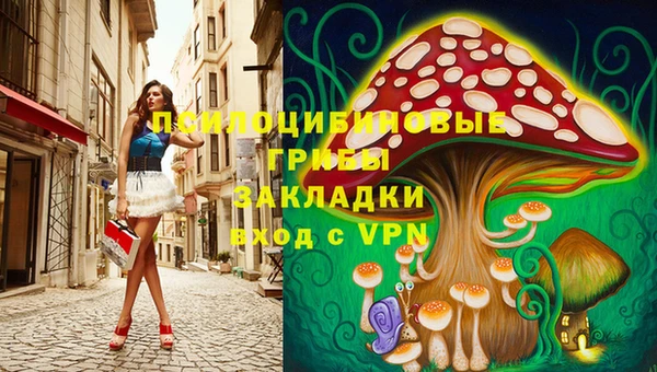 стафф Абдулино