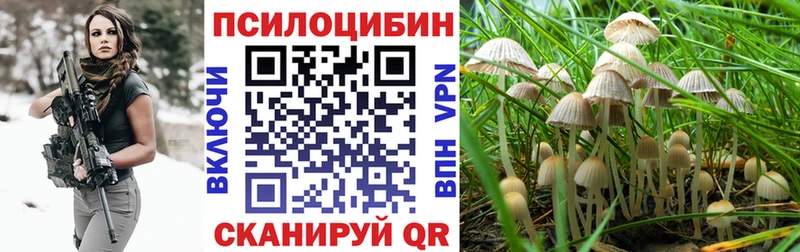 Галлюциногенные грибы Cubensis Болохово